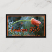 軽く霜の降りたカリフォルニアのポピー写真 名刺 (正面)