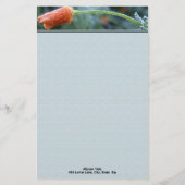 軽く霜の降りたカリフォルニアポピー個人用オリジナル 便箋 (正面)