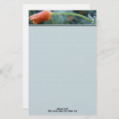 軽く霜の降りたカリフォルニアポピー個人用オリジナル 便箋 (正面/裏面)