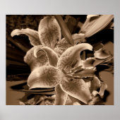 軽く ポスター (正面)