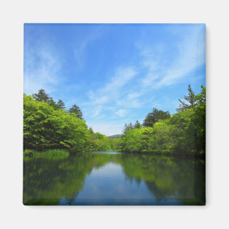 軽井沢・夏の雲場池 マグネット