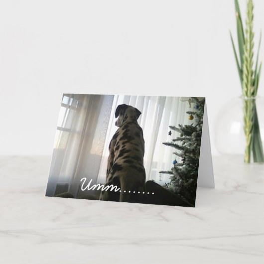 軽快Dalmation シーズンカード (正面)