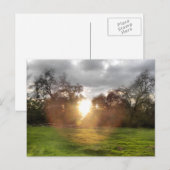 軽白熱［赤熱］光を放つ葉書ボール ポストカード (正面/裏面)