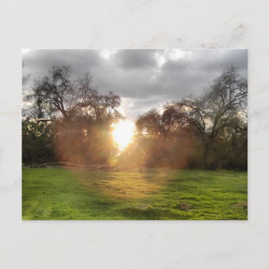 軽白熱［赤熱］光を放つ葉書ボール ポストカード (正面)