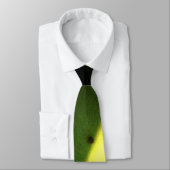 軽素晴らし聖なる書物、 経典 ネクタイ (タイ)