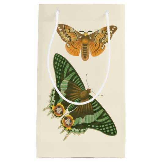 軽縁ど蝶絵画の スモールペーパーバッグ (正面)