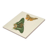 軽縁ど蝶絵画の タイル (側面)