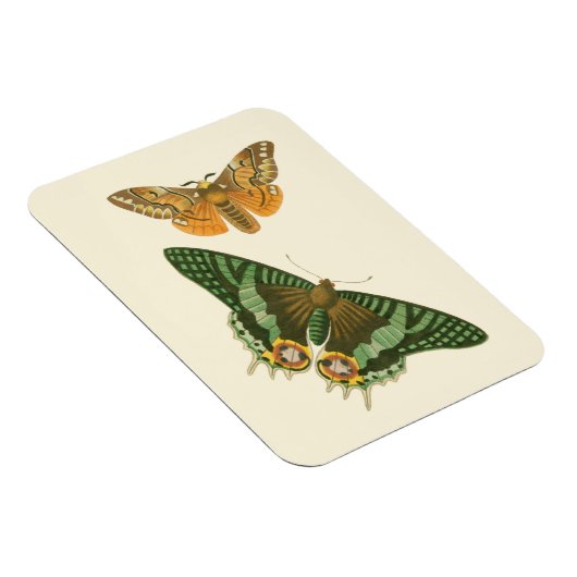 軽縁ど蝶絵画の マグネット (右側)