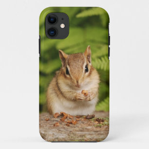 軽食が付いている愛らしいベビーのシマリス iPhone 11 ケース
