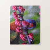 軽食のためにドロップ – Rainbow Lorikeet ジグソーパズル (縦)