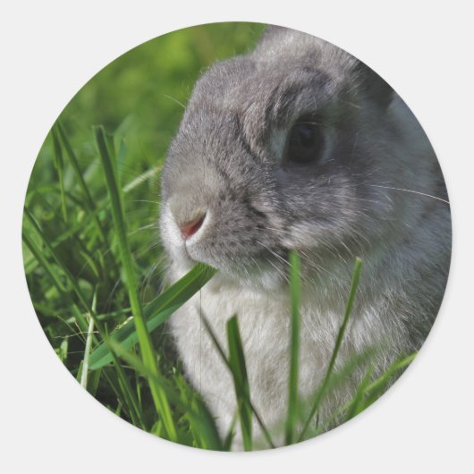 軽食の時間 ラウンドシール (正面)