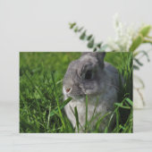 軽食の時間 招待状 (スタンド正面)