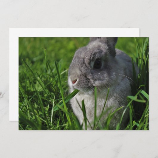 軽食の時間 招待状 (正面/裏面)