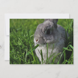 軽食の時間 招待状