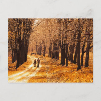 輝かしい生活 ポストカード