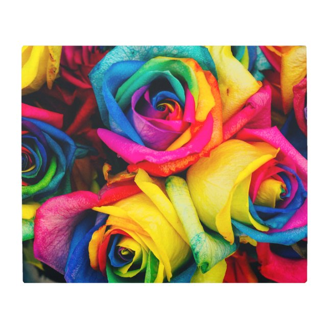 輝かしい色の虹のバラ メタルプリント (正面)
