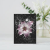 輝かしい謎 ポストカード (スタンド正面)