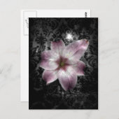 輝かしい謎 ポストカード (正面/裏面)