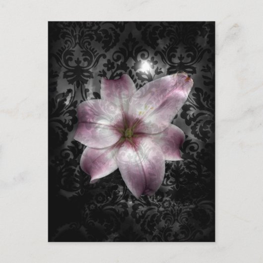 輝かしい謎 ポストカード (正面)