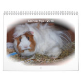 輝き カレンダー (カバー)