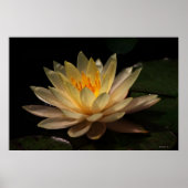 輝き ポスター (正面)