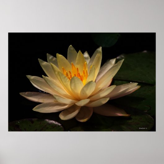 輝き ポスター (正面)