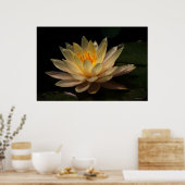 輝き ポスター (キッチン)