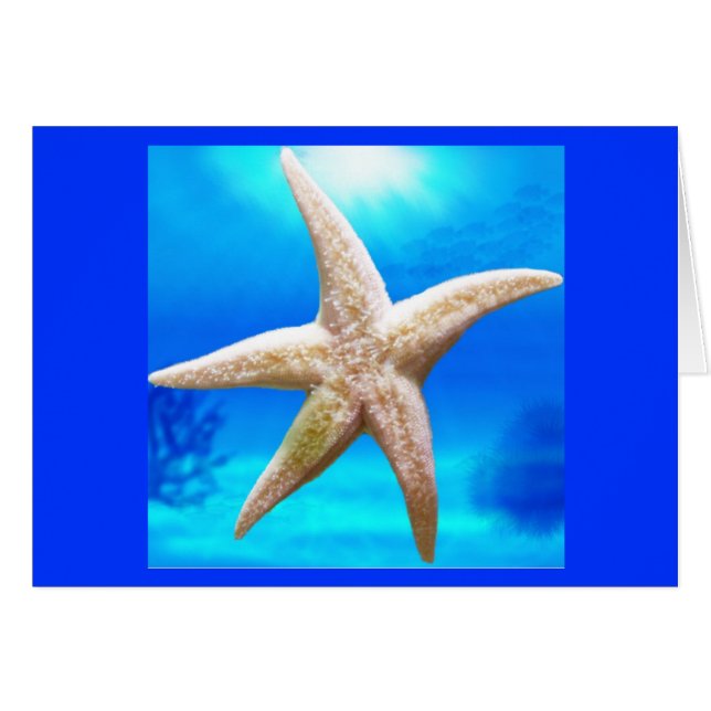 輝くな星 (正面横)