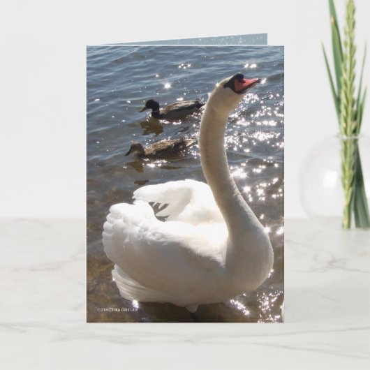 輝くな星 カード (正面)