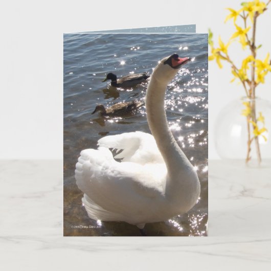 輝くな星 カード (黄色い花)