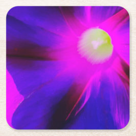 輝くアサガオの花  スクエアペーパーコースター