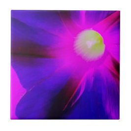 輝くアサガオの花 タイル