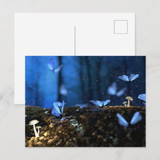 輝くキノコ ポストカード (正面/裏面)