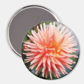 輝くダリアの花 マグネット (正面/裏面)