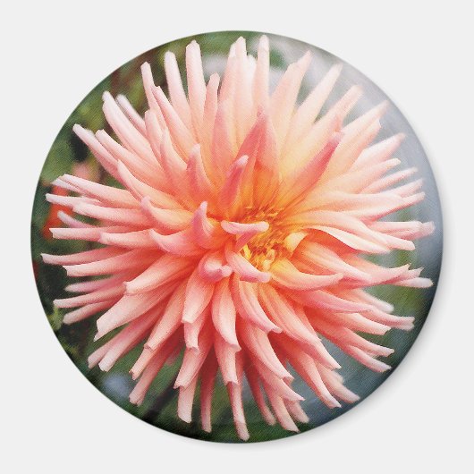 輝くダリアの花 マグネット (正面)