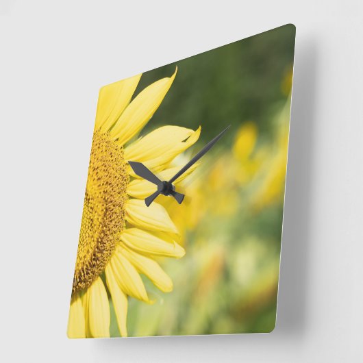 輝くヒマワリ スクエア壁時計 (傾斜)