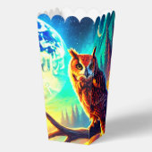 輝くフクロウの宇宙シーン フェイバーボックス (正面)