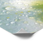 輝くプリムローズ ポスター (角)