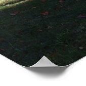 輝く秋の木 - ミシガン州ハーブル ポスター (角)