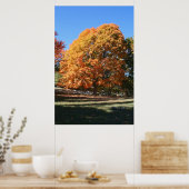 輝く秋の木 - ミシガン州ハーブル ポスター (キッチン)