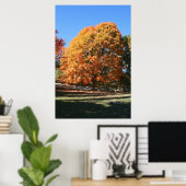 輝く秋の木 - ミシガン州ハーブル ポスター (ホームオフィス)