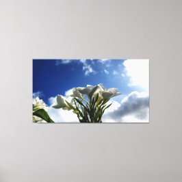 輝く空に向かってプルメリアが咲く キャンバスプリント