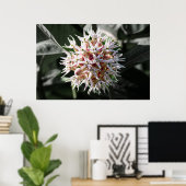 輝く純度:白い華やかなムラサキの花の写真 ポスター (ホームオフィス)