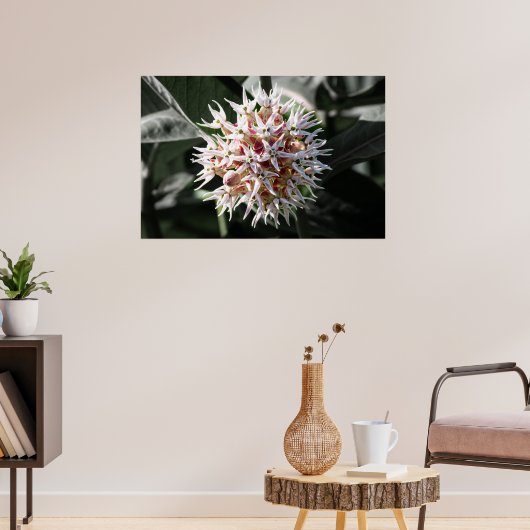 輝く純度:白い華やかなムラサキの花の写真 ポスター (リビング3)