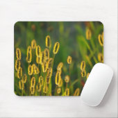 輝く草 – マウスパッド (マウス)