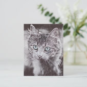 輝く青い目をした、かわいい子ネコ ポストカード (スタンド正面)