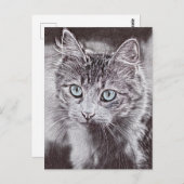 輝く青い目をした、かわいい子ネコ ポストカード (正面/裏面)