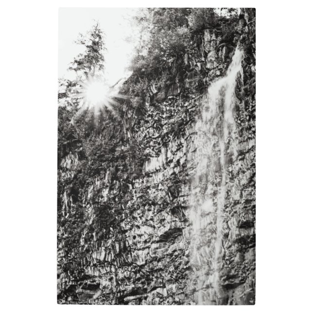 輝く メタルプリント (正面)