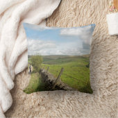 輝くTorとCats Torはがき クッション (ブランケット)