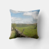 輝くTorとCats Torはがき クッション (裏面)